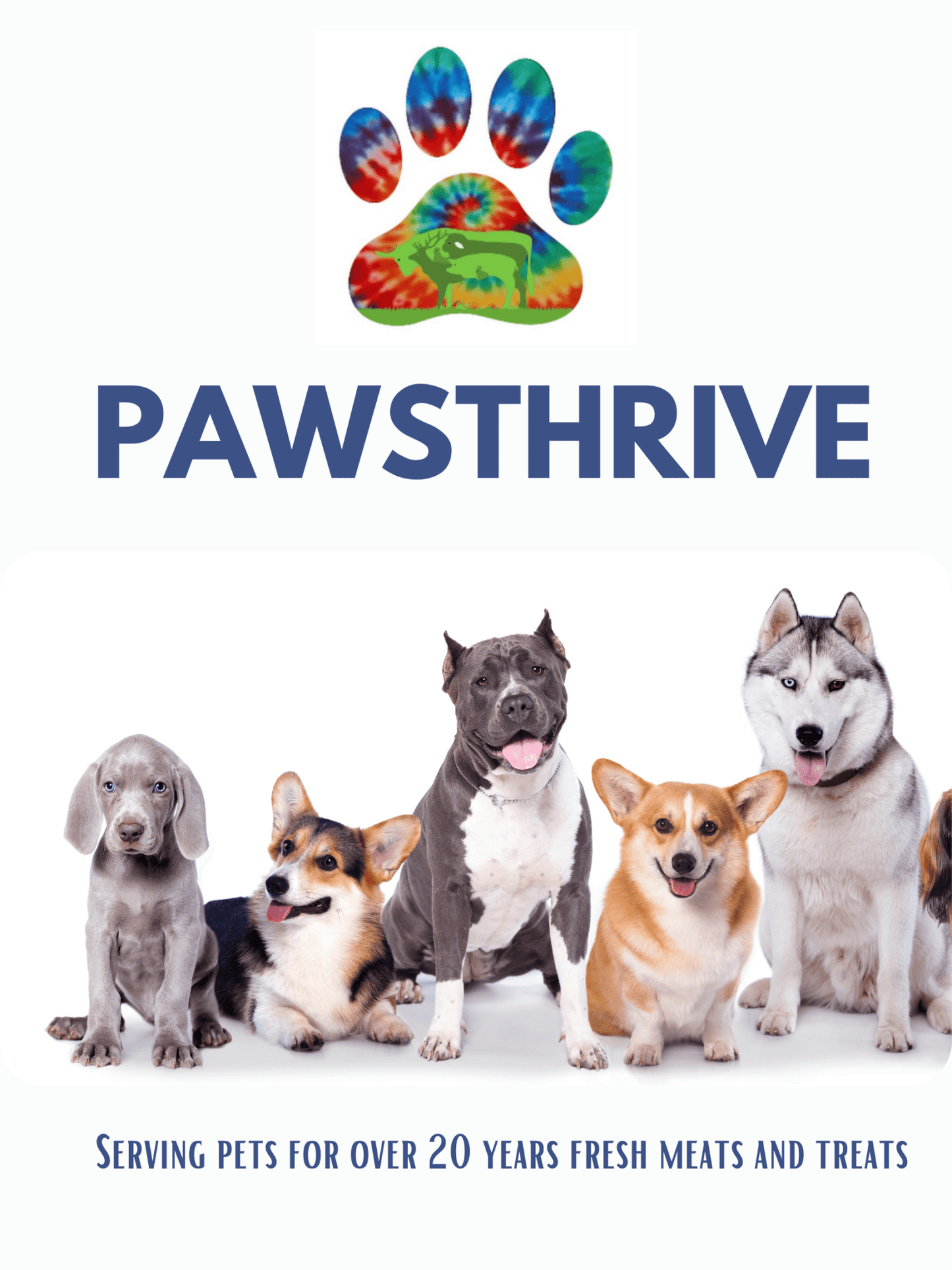 Field Trip - pawsTHRIVE Processing
