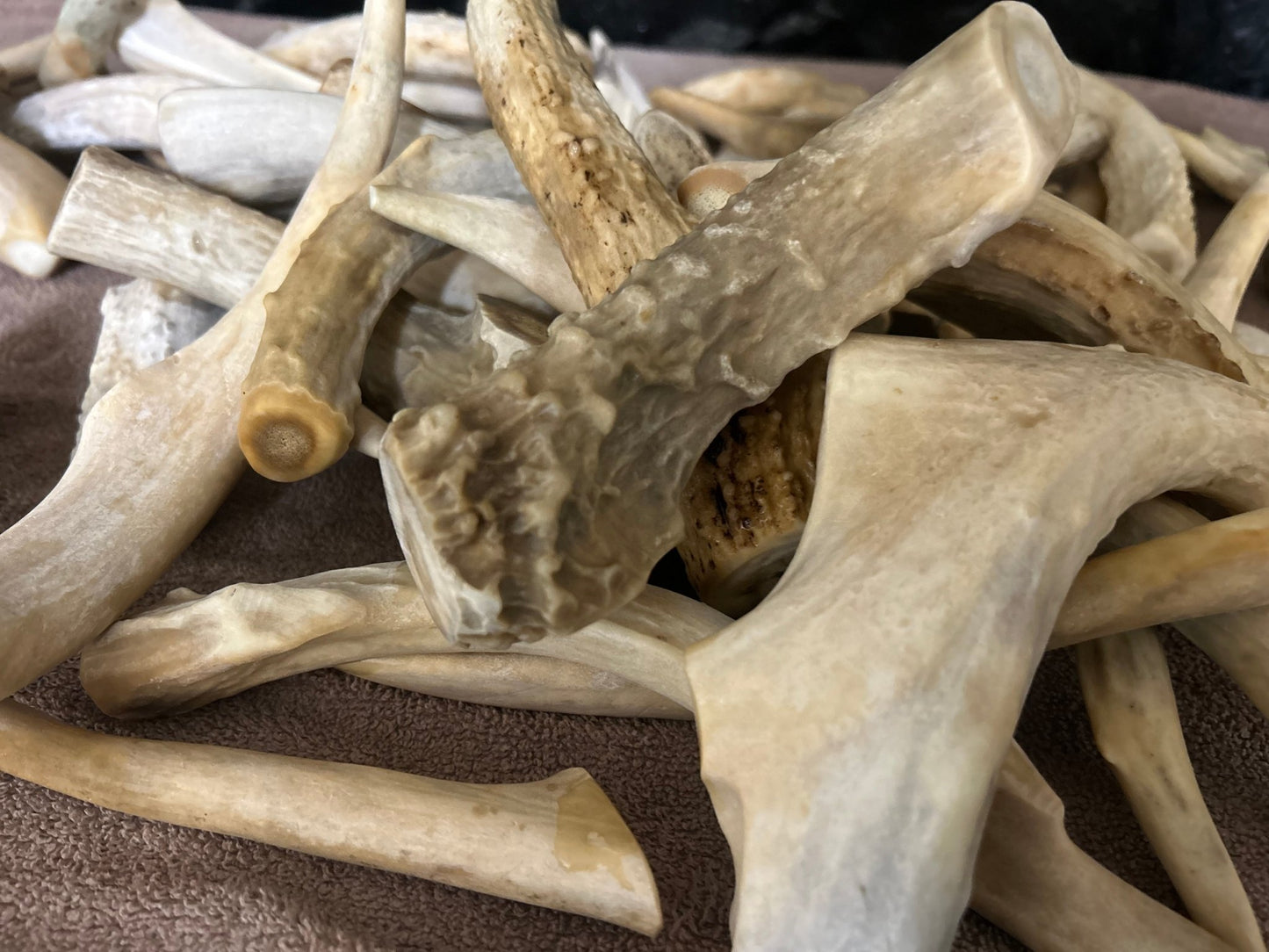 Antler Chews - pawsTHRIVE Processing