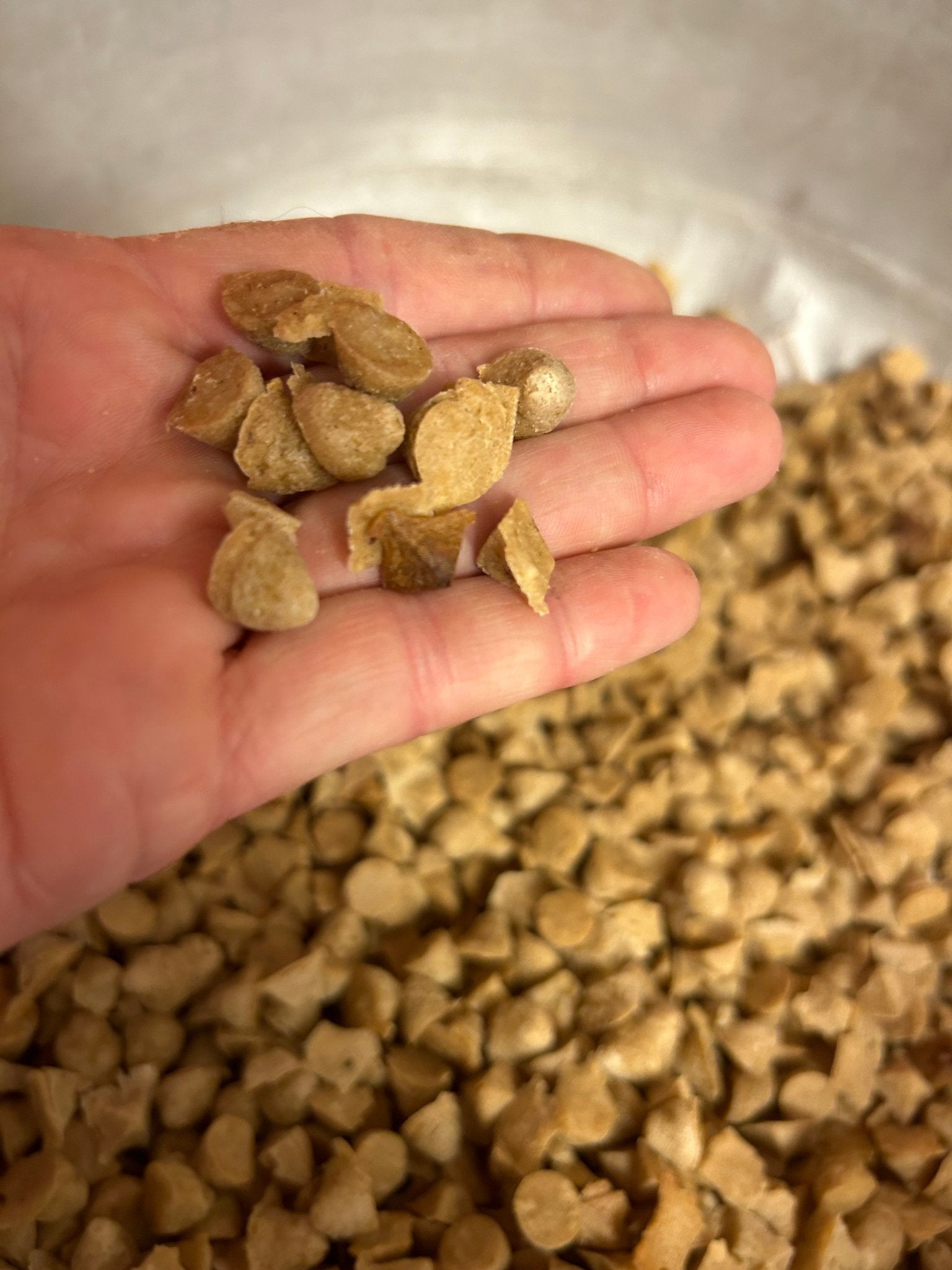 Apple Honey and Oats Crunches Dog Treats - pawsTHRIVE Processing