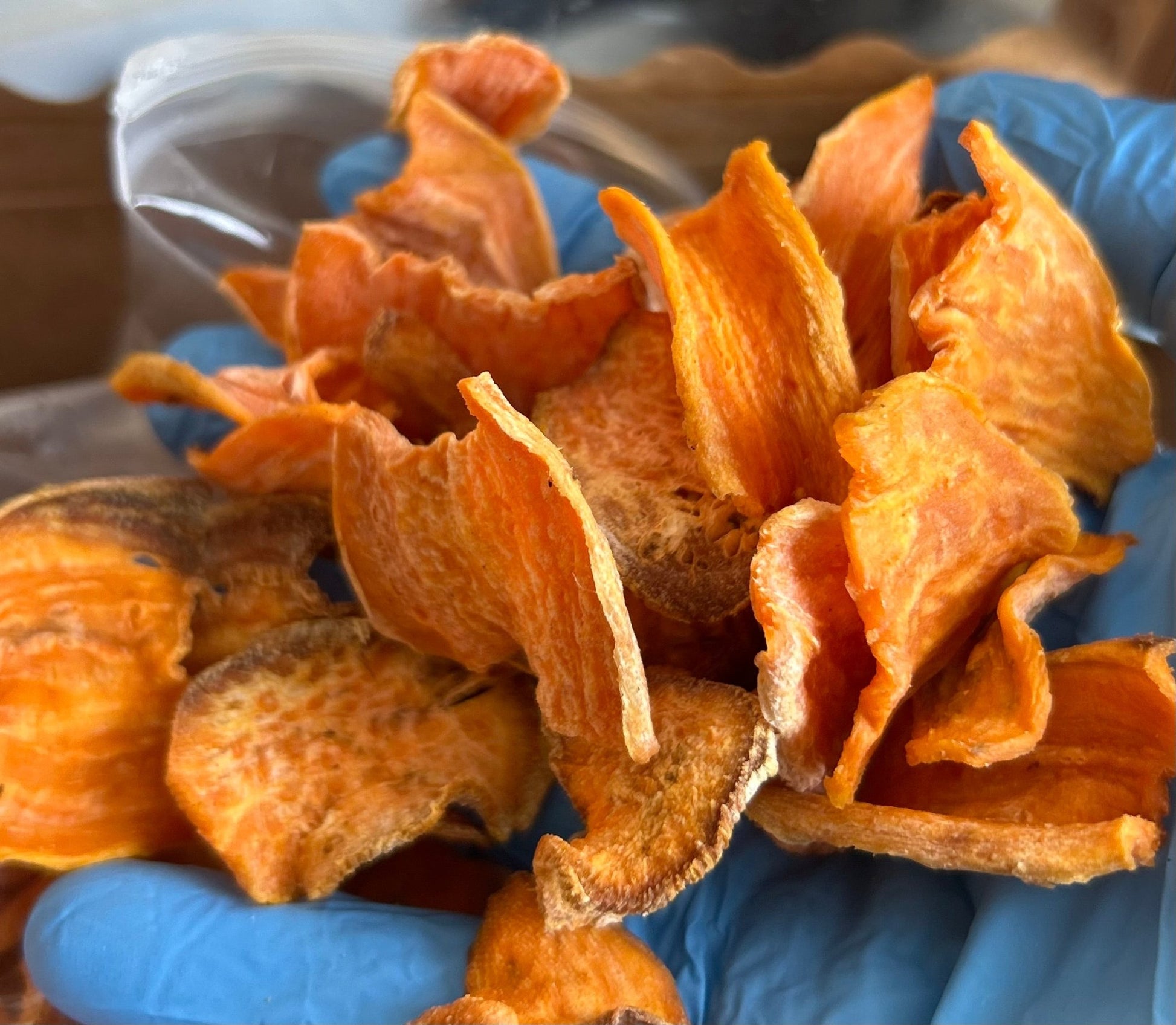 Sweet Potato Treat - pawsTHRIVE Processing