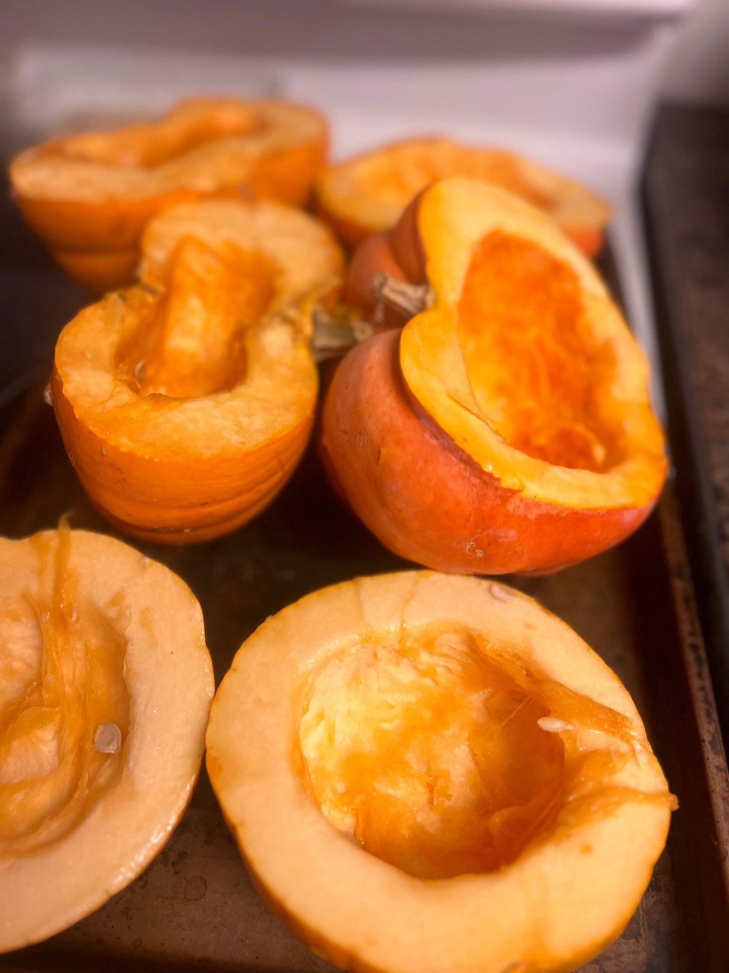 PawsTHRIVE Pumpkin pieces Dog Treats - pawsTHRIVE Processing