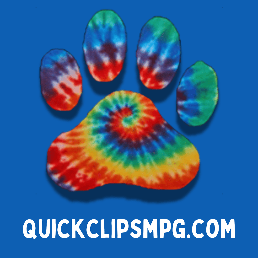 Grooming For Double Coated Breeds - pawsTHRIVE Processing