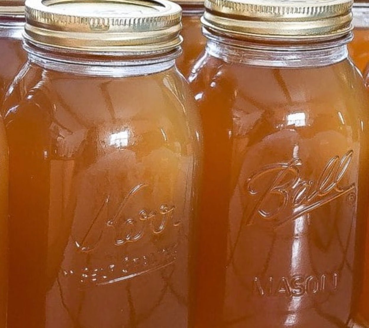 Hydrating Bone Broth - pawsTHRIVE Processing